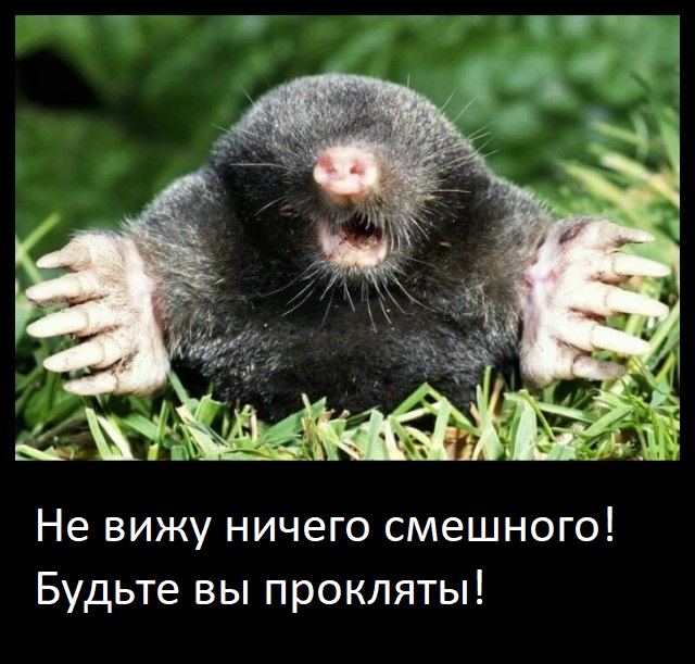 Завелась семья кротов!