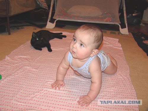 Зая, что за мужик?! Классное на cooler.ru