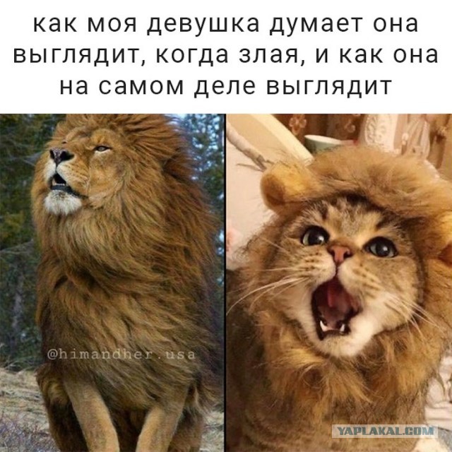 Немного картинок для настроения 12.02.20