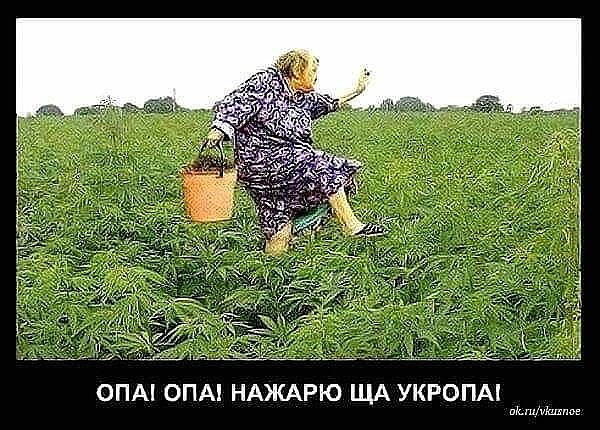 Нету и не ожидается.