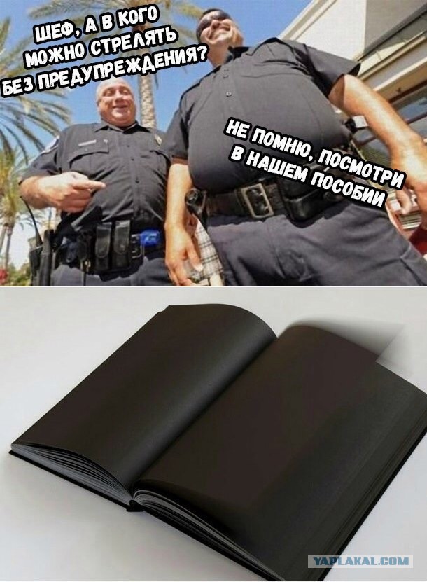 Чернокожие и мигранты получают ожидаемую реакцию на свои действия