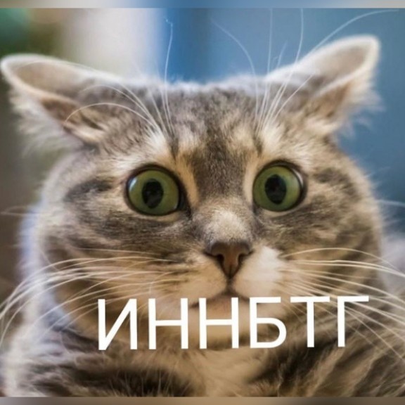 Прикольные и просто красивые картинки 24.10.2020