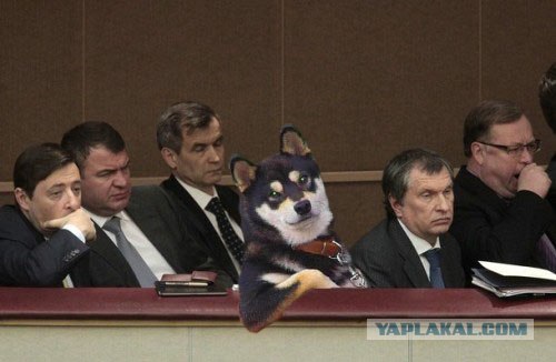 Выступление Путина и Трудяги