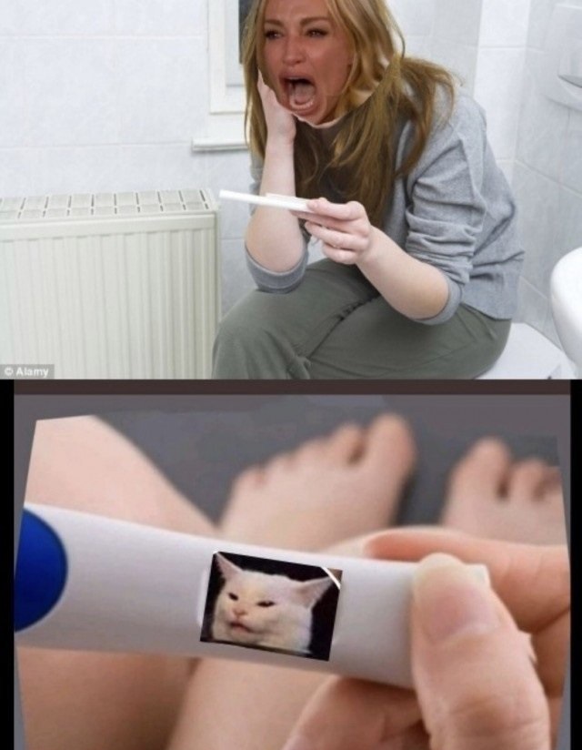 Кота не переубедить