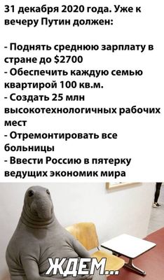 Владимир Путин счел возможным «подумать» о введении продовольственных сертификатов для малоимущих в России