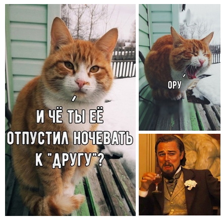 Кретинизмы околовосьмимартовские