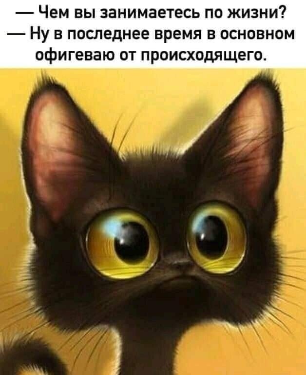 Баянисто-небаянистый юмор 15.05.21