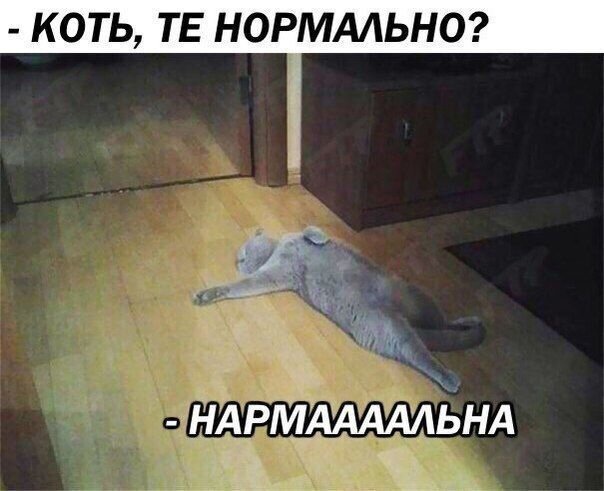 Так себе картинки 15.08.21