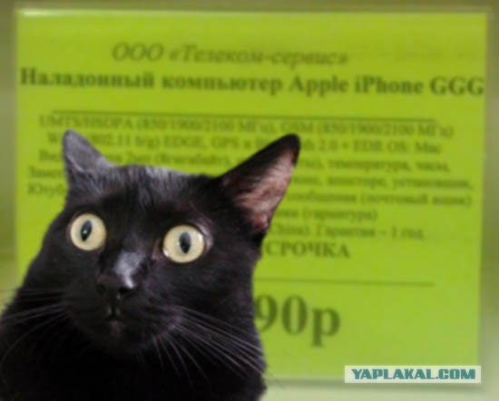 Iphone ГыГыГы