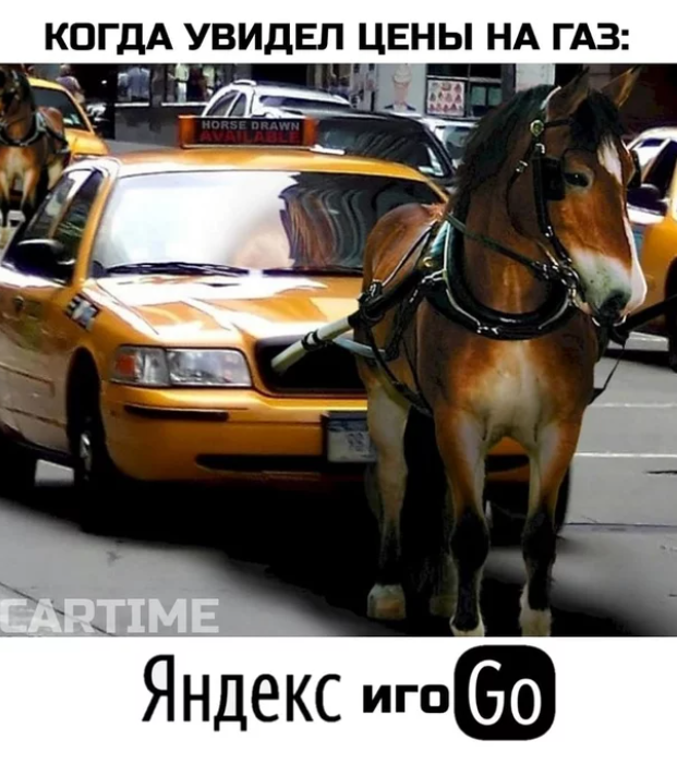 Весёлый полтишок 11.09