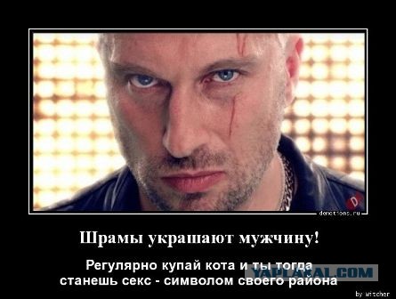 Попался, котяра усатая