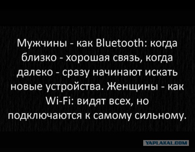 Так себе картинки 07.02.22