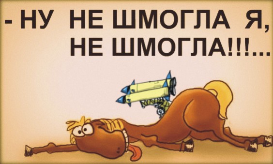 Минобороны примет меры, чтобы исключить попадание срочников на Украину