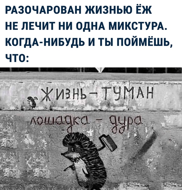 Так себе картинки 15.06.22