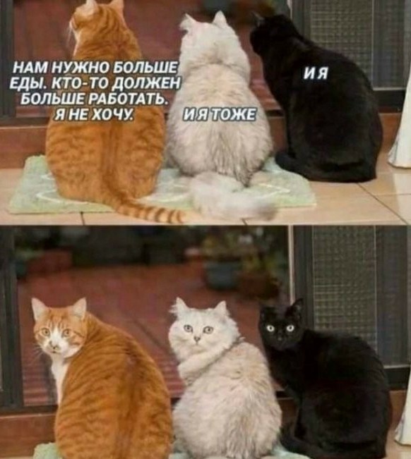 Эй, жидкие! Просыпаться будем?