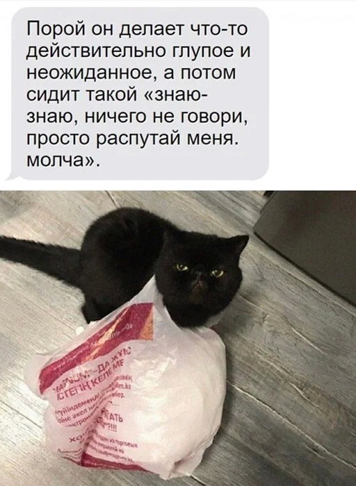 Скриншоты и комментарии из социальных сетей 17.07.22