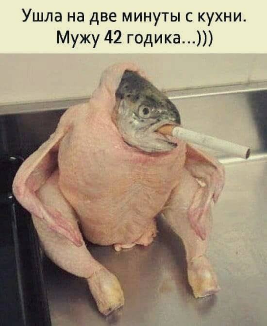 Весёлый полтишок 08.08.22