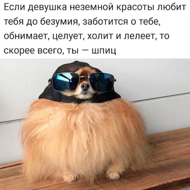 Картинки и мемы, всем хороших выходных