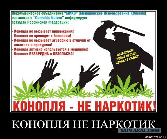Прикольные и просто красивые картинки 25.10.2022