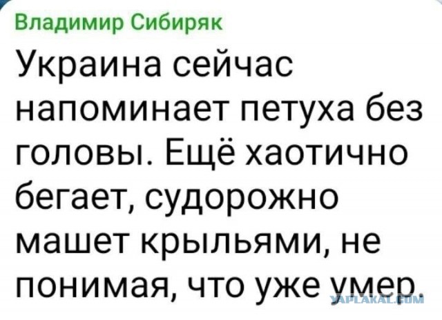 Зеленский хочет на море