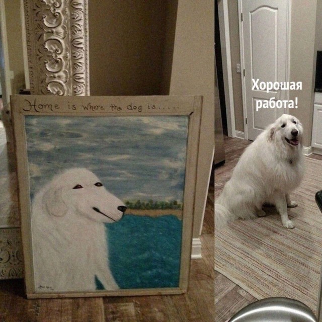 Картинки и мемы, всем хороших выходных