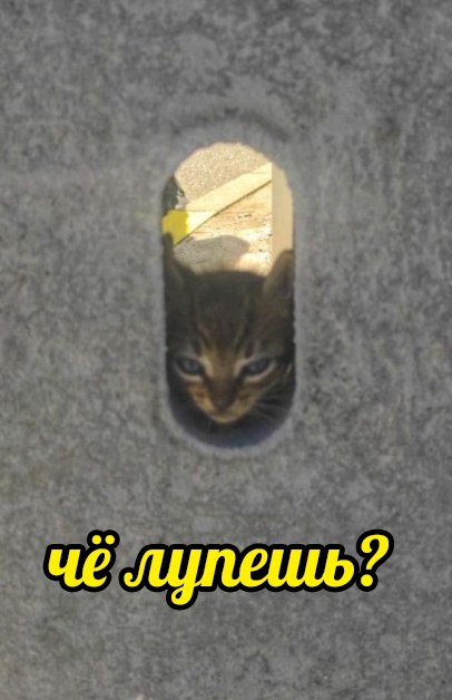 Брат, подсади