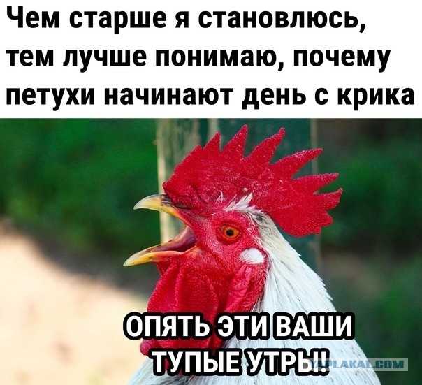 Всего понемногу. От 21.04.