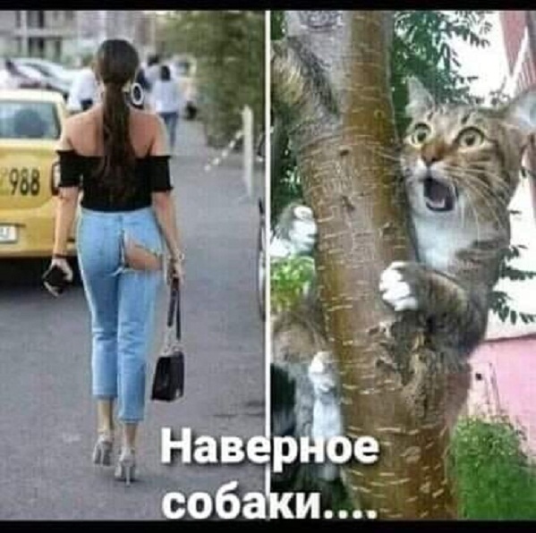 Картинки и мемы, всяко разно - 171