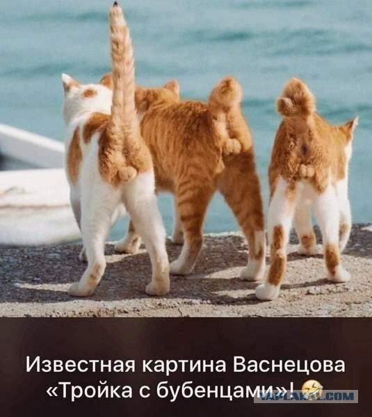 Эволюция