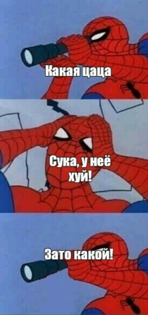 Полиция Краснодара ищет героев скандальных роликов с обнаженной девушкой на крыше