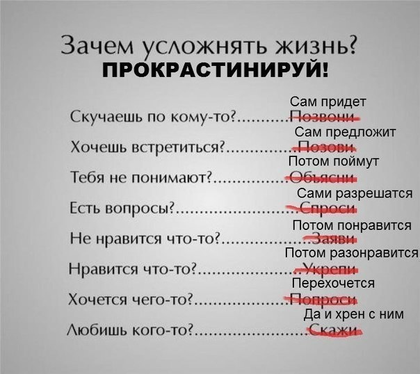 Весёлый полтишок 08.09.23