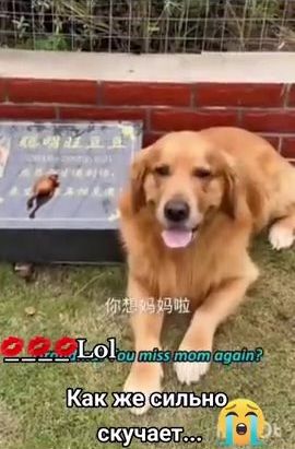 Скучает по другу