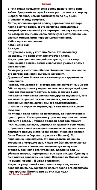 Так себе картинки 26.09.23
