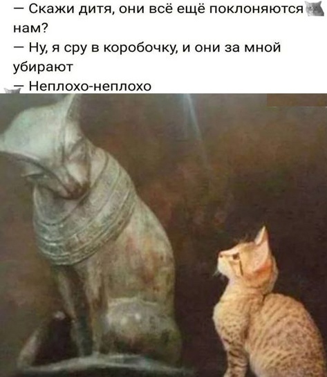 Так себе картинки 10.10.2023