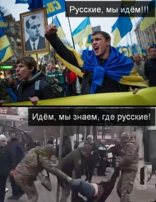 «Даже не думайте подходить, идиоты»