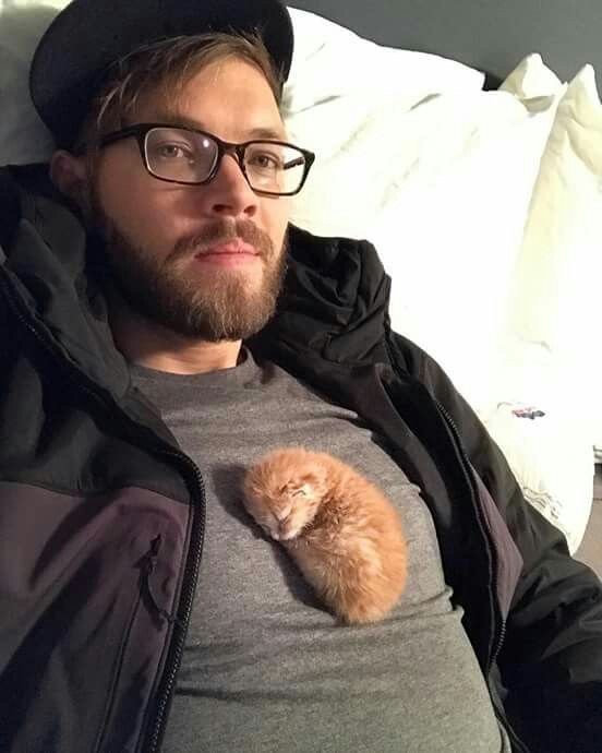 Кот дня
