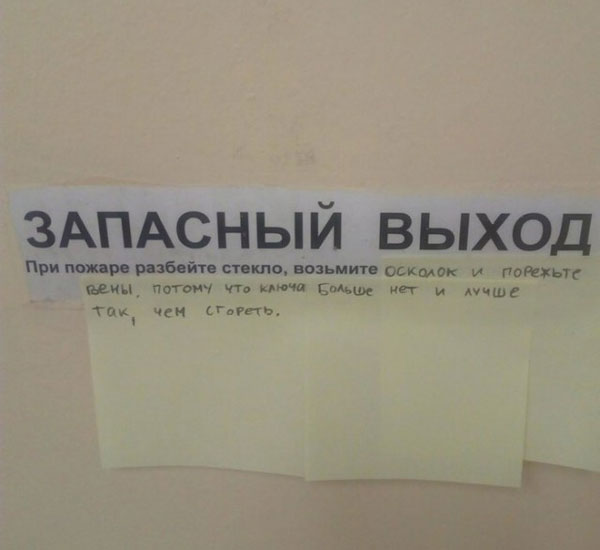 Доставка баянов