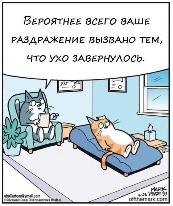 Весёлый полтишок 27.05.24