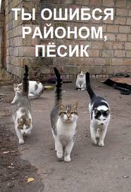 Видимо надо брать, пока не раскупили