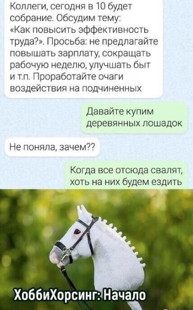 Весёлый полтишок 26.07.24