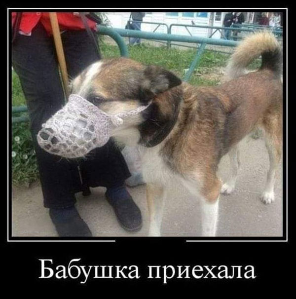 Суббото-баяно-лар