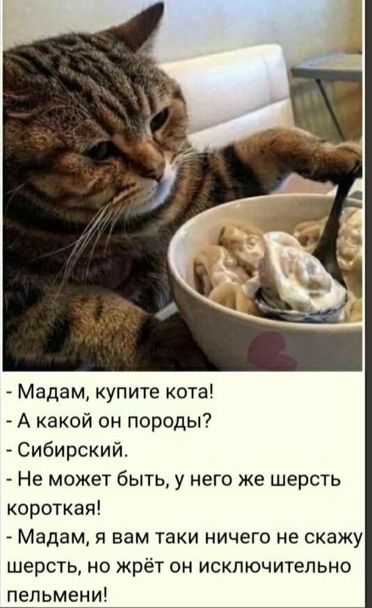 Нуштош 04.10.2024