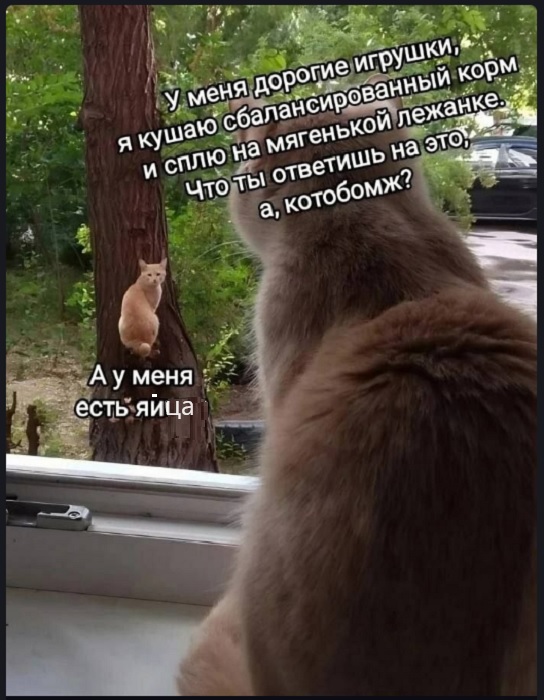 Картинки разные с надписями и без