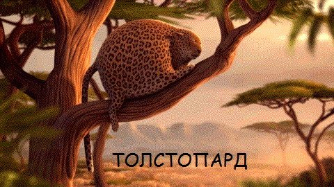 Wargaming 5