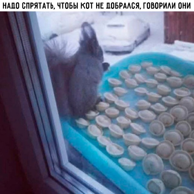 Так себе картинки 20.01.25