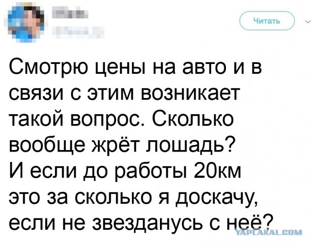 Так себе картинки 21.10.25