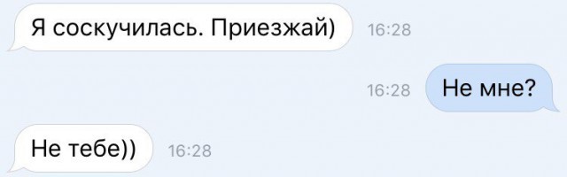 Веселые картинки в пятницу (26.12)