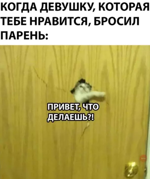 Картиночки, баянчики 20 января