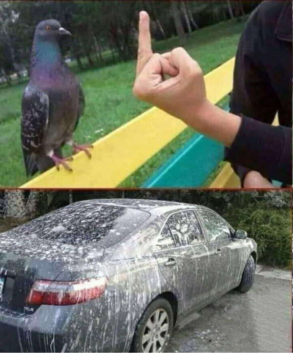Субботим по баянам
