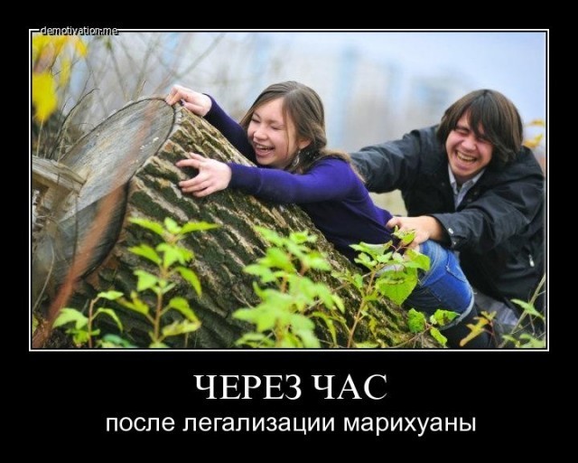 Почему Алкоголь легален, а Марья Ивановна в иноагентах?